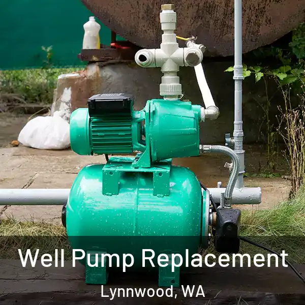  Well Pump Replacement Lynnwood, WA
